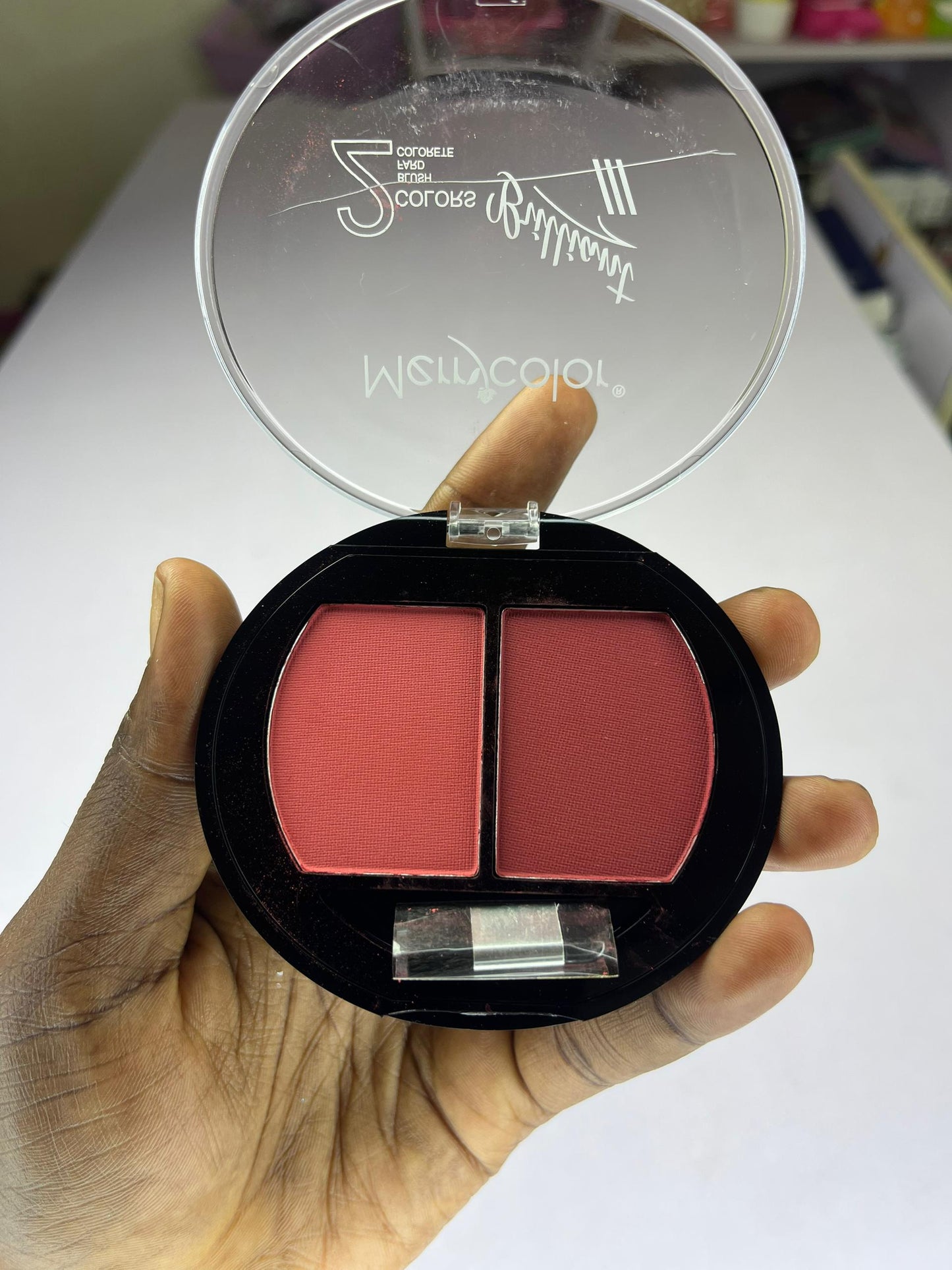 Blush 2 en 1 Merrycolor