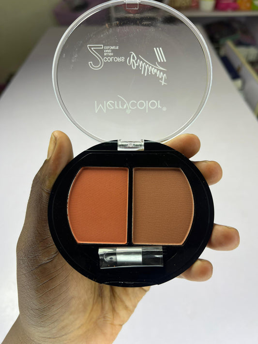 Blush 2 en 1 Merrycolor