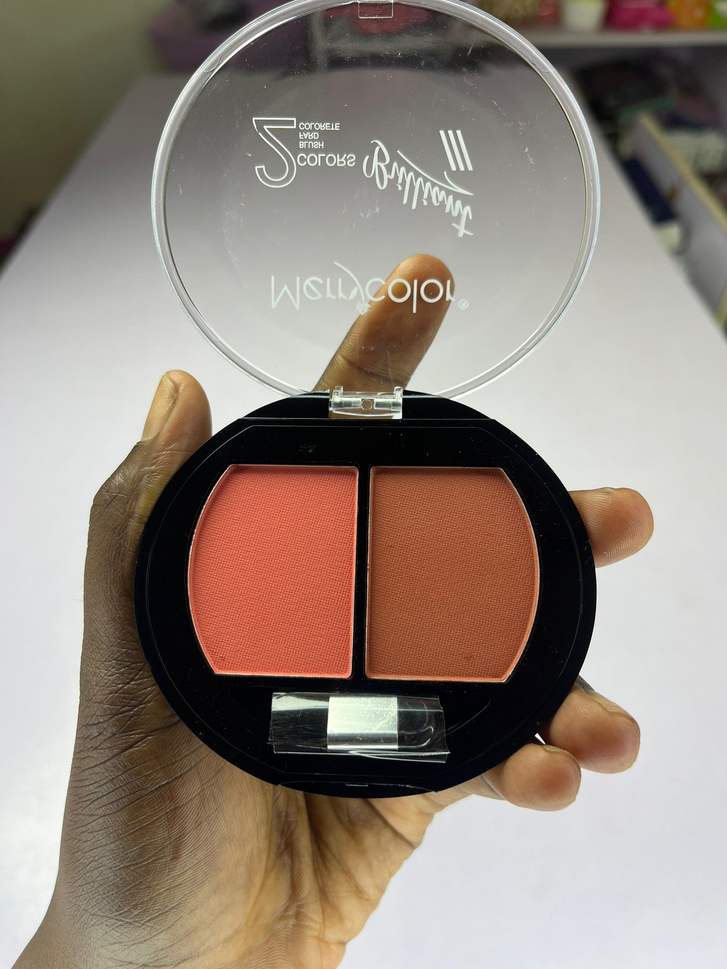 Blush 2 en 1 Merrycolor
