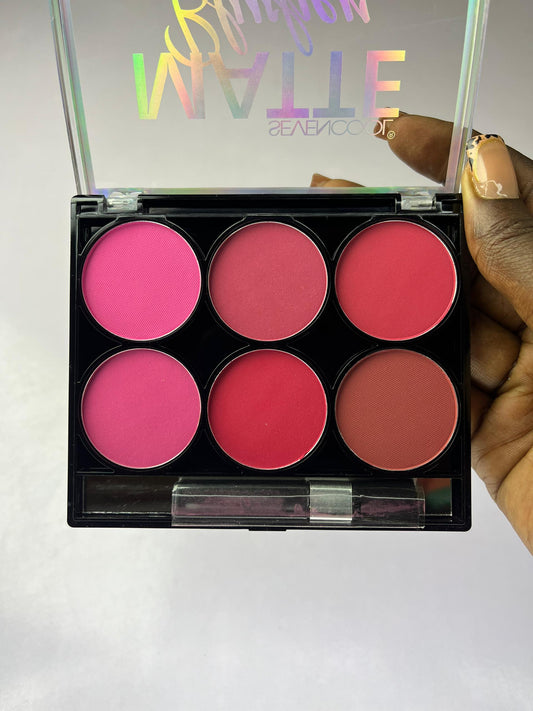 Palette de blush seventool