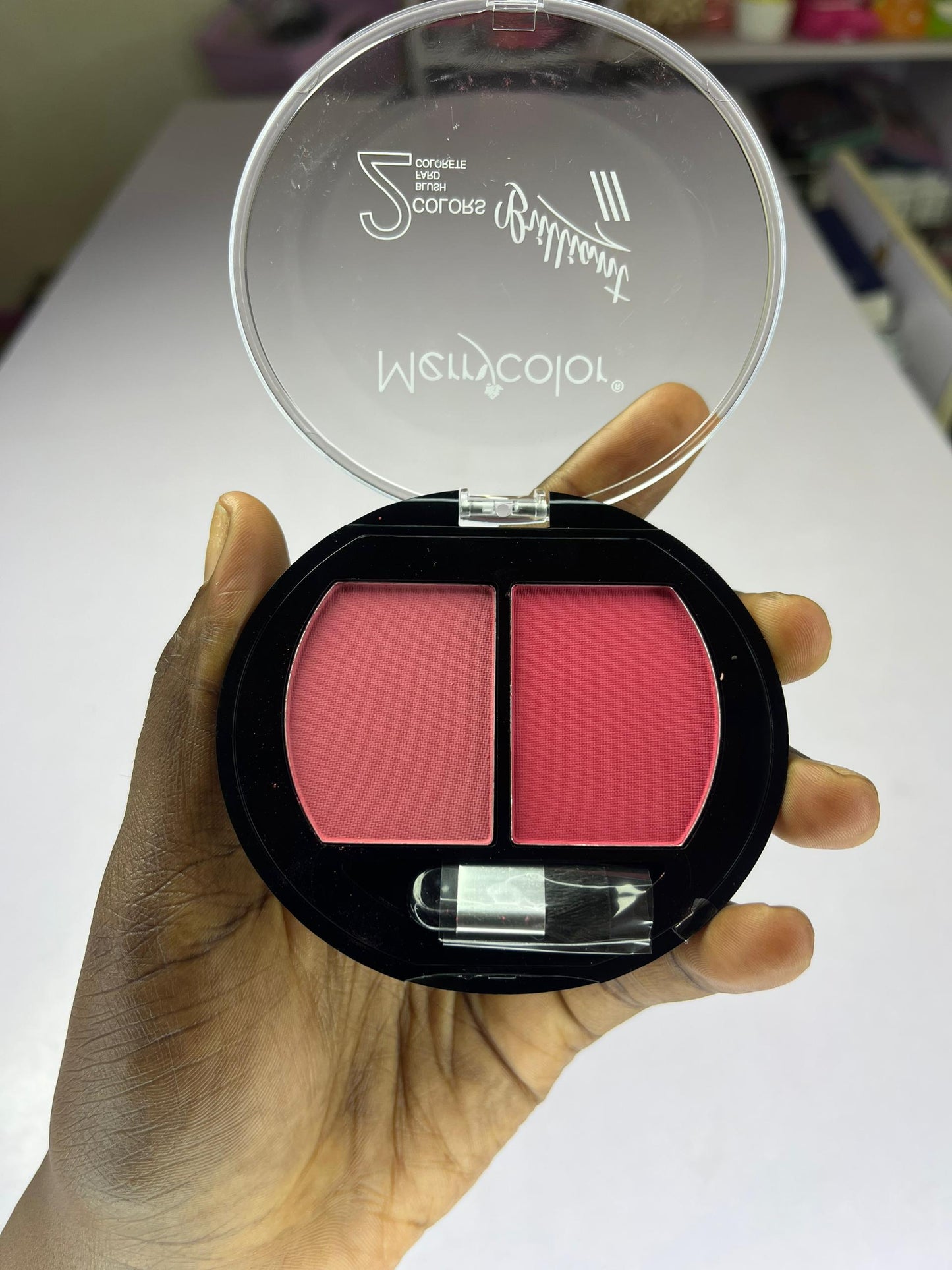 Blush 2 en 1 Merrycolor
